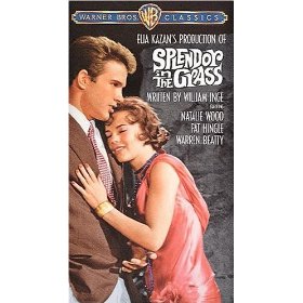 splendor-in-the-grass ... it was nothing like that.