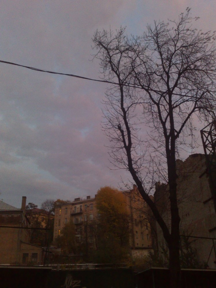 The haunted frightened trees The haunted, frightened trees.